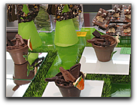 toulouse chocolates