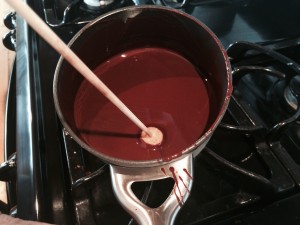 IMG_1520